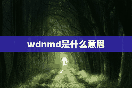 wdnmd是什么意思(wdnmd是什么意思梗)